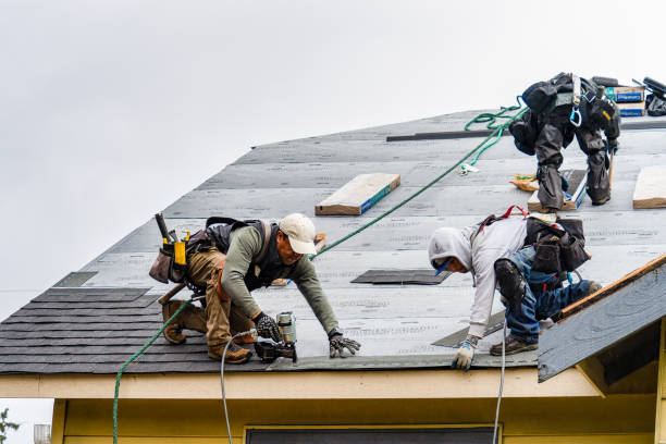 Professional Roofing technician working in Ina, IL